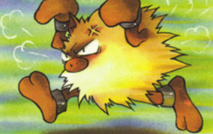 Primeape, charging and fuming.