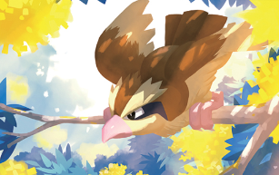 Pidgey, perched on a branch