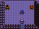 The player meeting the beasts in Crystal. She stands before the trio in a gloomy cave.